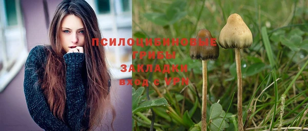 первитин Белоозёрский
