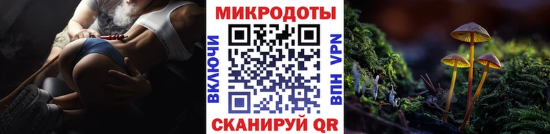 цена наркотик  Вяземский  Галлюциногенные грибы Cubensis 